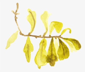 Dry Yellow Leaf Transparent Decorative - Illustration, HD Png Download, Free Download