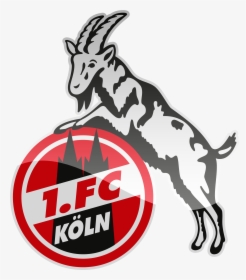 Fc Köln Hd Logo Png - 1 Fc Köln Logo, Transparent Png, Free Download
