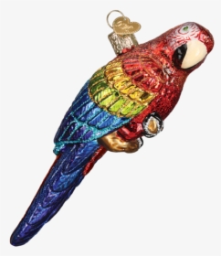 Macaw - Transparent Red Parrot Png, Png Download - kindpng