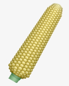 Corn - Ear Of Corn Clipart, HD Png Download, Free Download