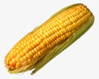 Corn Png Free Download - Corn Transparent Background, Png Download, Free Download