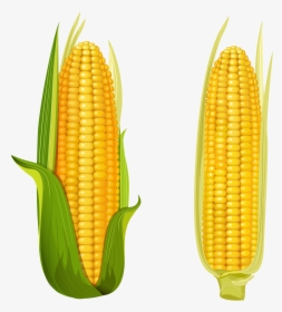Corn Clipart Free Images Transparent Png - Corn On The Cob Vector, Png Download, Free Download
