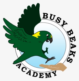 Busy Beaks Academy - Parrot, HD Png Download, Free Download