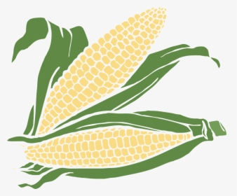 Corn, Food, Maize, Plant, Agriculture, Crop - Ears Of Corn Clipart, HD Png Download, Free Download