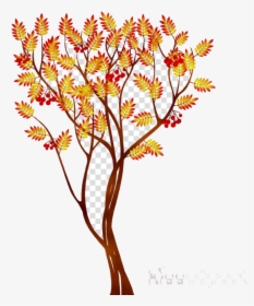 Fall Tree Autumn Flower Transparent Image Clipart Free - Fall Tree No Background, HD Png Download, Free Download