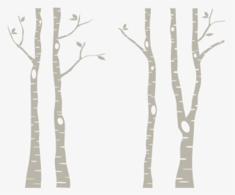 White Birch Tree Png-pluspng - Birch Tree Clip Art, Transparent Png, Free Download