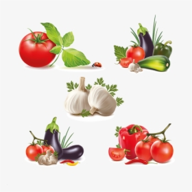 Free Vector Vegetables, HD Png Download, Free Download