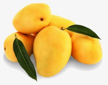 Mango Png Transparent Images - Badami Mango, Png Download, Free Download