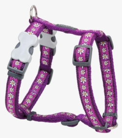 Daisy Chain Dog Harness - Arnes Para Perro Pequeño, HD Png Download, Free Download