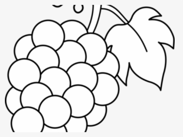 Grape Clipart Fruite - Black And White Grape Clipart, HD Png Download, Free Download