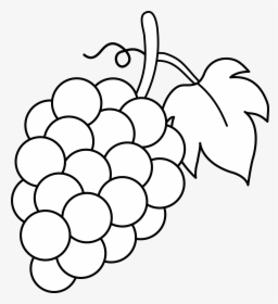 Grapes Coloring Pages, HD Png Download, Free Download