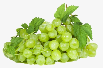 Black Grapes Png Photo Background - Seedless Fruit, Transparent Png, Free Download