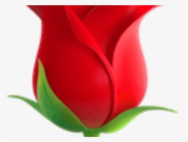 Transparent Flower Emoji - Fleur Emoji, HD Png Download, Free Download