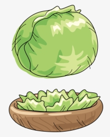 Transparent Cabbage Png, Png Download, Free Download