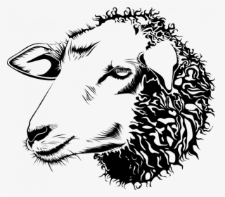 Sheep Head Black And White, HD Png Download, Free Download