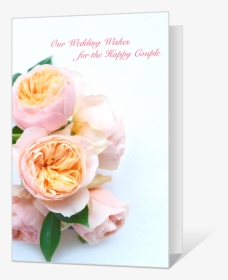 Wedding Wishes - Hybrid Tea Rose, HD Png Download, Free Download