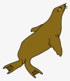 Cliparts For Free - Colour Of Seal Animal, HD Png Download, Free Download