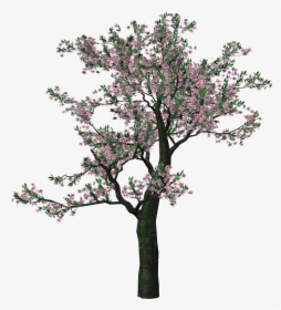 Spring Trees Png, Transparent Png, Free Download