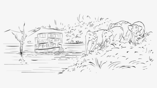 Drawing - Thekkady Black And White, HD Png Download, Free Download