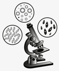 Transparent Scientist Clipart Free - Microscope Clipart, HD Png Download, Free Download