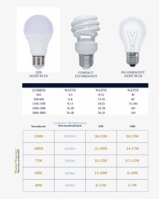 Bulbs2019 - Fluorescent Lamp, HD Png Download, Free Download