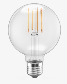 Filament Bulbs Png - Fluorescent Lamp, Transparent Png, Free Download