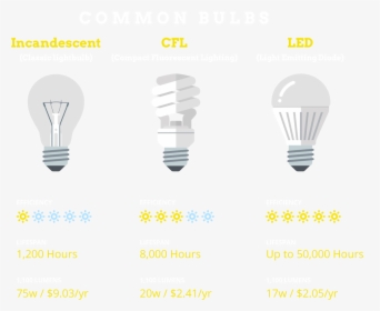 Transparent Bulb Png - Halogen Light Bulb Vector, Png Download, Free Download
