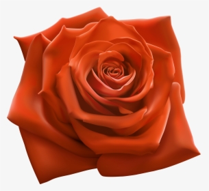 Transparent Transparent Rose Png - Roses Flowers Clipart Transparent, Png Download, Free Download