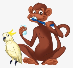 Teeth Clipart Monkey - Sulphur-crested Cockatoo, HD Png Download, Free Download