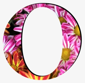 Flower Pattern Letters O - Circle, HD Png Download, Free Download