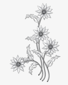 Floral Design Cut Flowers Black & White - Flowers Png Black And White, Transparent Png, Free Download