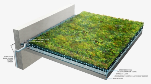 Create A Green Roof, HD Png Download, Free Download