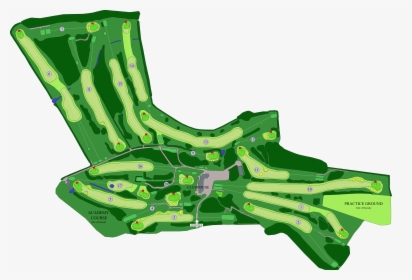 Grass Plan Png, Transparent Png, Free Download