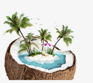 Beach Png - Coconut With Beach Inside, Transparent Png, Free Download