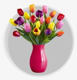 Multi Colored Tulip Bouquet, HD Png Download, Free Download
