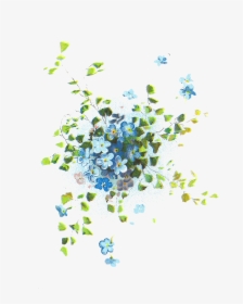 Forget Me Not Png Photos - Forget Me Nots Graphics, Transparent Png, Free Download