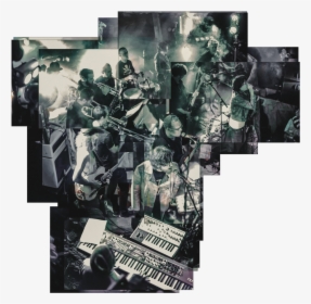 Salty Dog No Stars Salty Dog Electric Picnic 2016 1, HD Png Download, Free Download