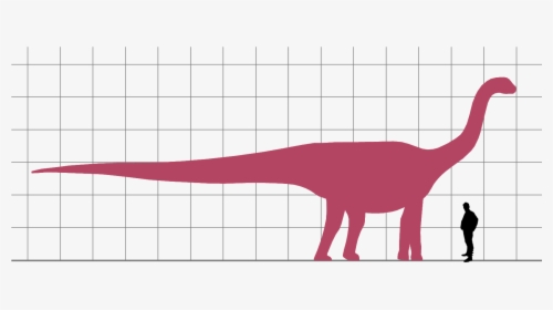 Patagosaurus Scale - Dinosaur, HD Png Download, Free Download