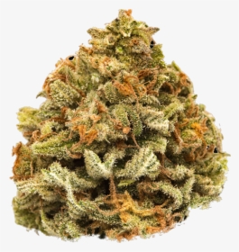Hemp Cannabis Flower Nugs - Christmas Tree, HD Png Download, Free Download