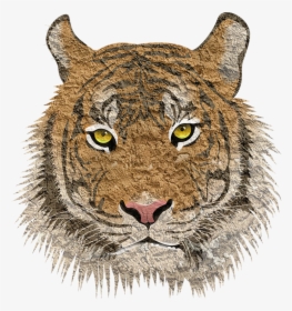 Tiger, Cat, Animal, Leopard, Cougar, Cub, Tigress, - Tiger Png Image Download, Transparent Png, Free Download