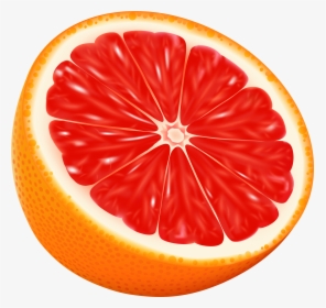 Blood Orange Png - Grapefruit Clipart, Transparent Png, Free Download