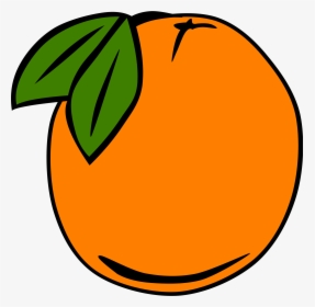 Cartoon Orange Tree - Orange Clip Art, HD Png Download, Free Download