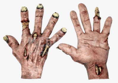 Transparent Zombie Hands Png - Zombie Hands, Png Download, Free Download