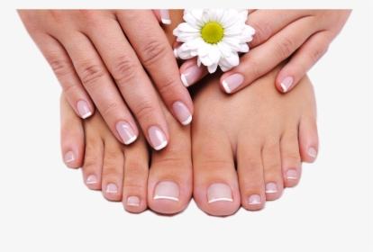 Belleza Pies Y Manos - French Shellac Pedicure, HD Png Download, Free Download