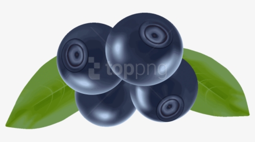 Download Blueberries Png Photo - Fruits Vector, Transparent Png, Free Download