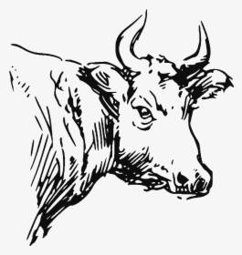 The Bulls Head - Bull, HD Png Download, Free Download