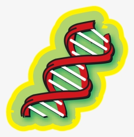 Chromosome, Medical, Science, Dna, Medicine, Genetic - Chromosome Illustration, HD Png Download, Free Download