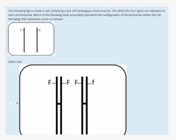 Diagram, HD Png Download, Free Download