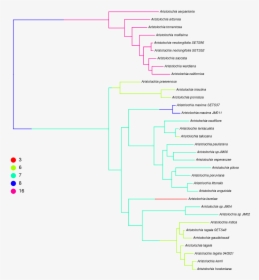 Diagram, HD Png Download, Free Download