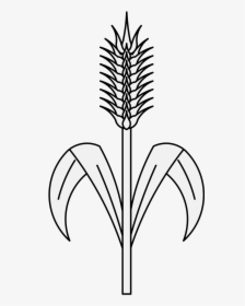 Wheat Tree For Drawing, HD Png Download, Free Download